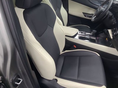 2024 Lexus NX NX 350 Premium